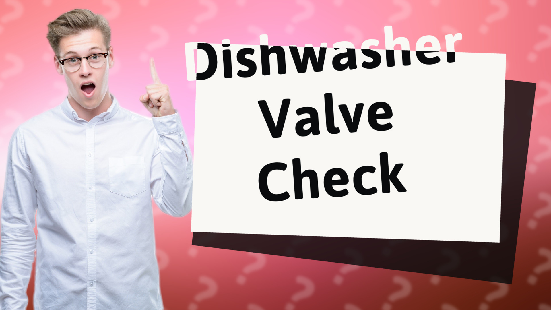 Dishwasher Valve Check