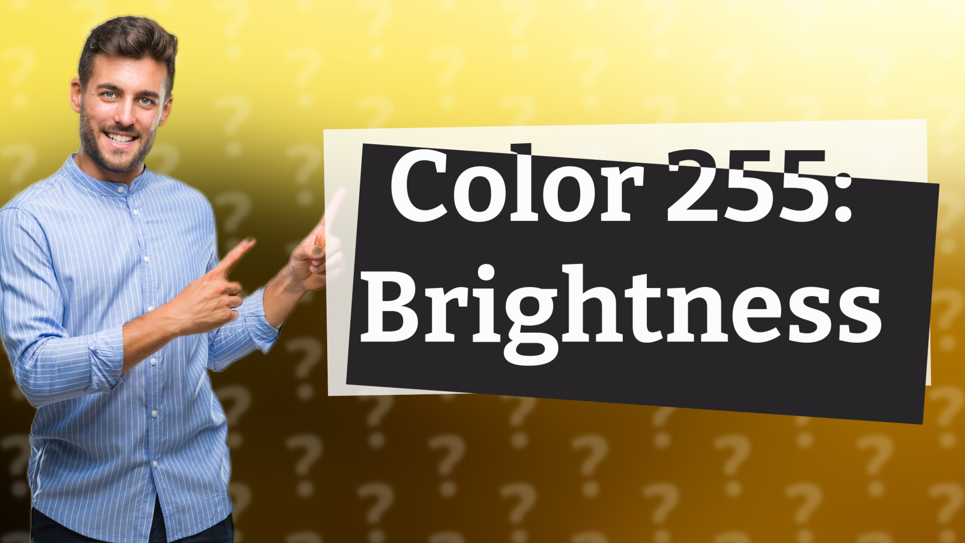 Color 255: Brightness