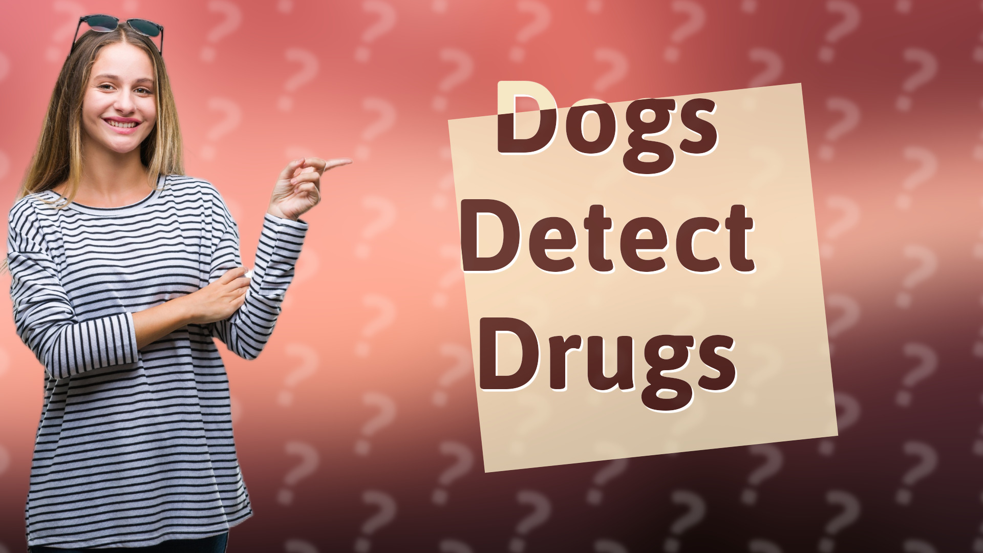 Dogs Detect Drugs