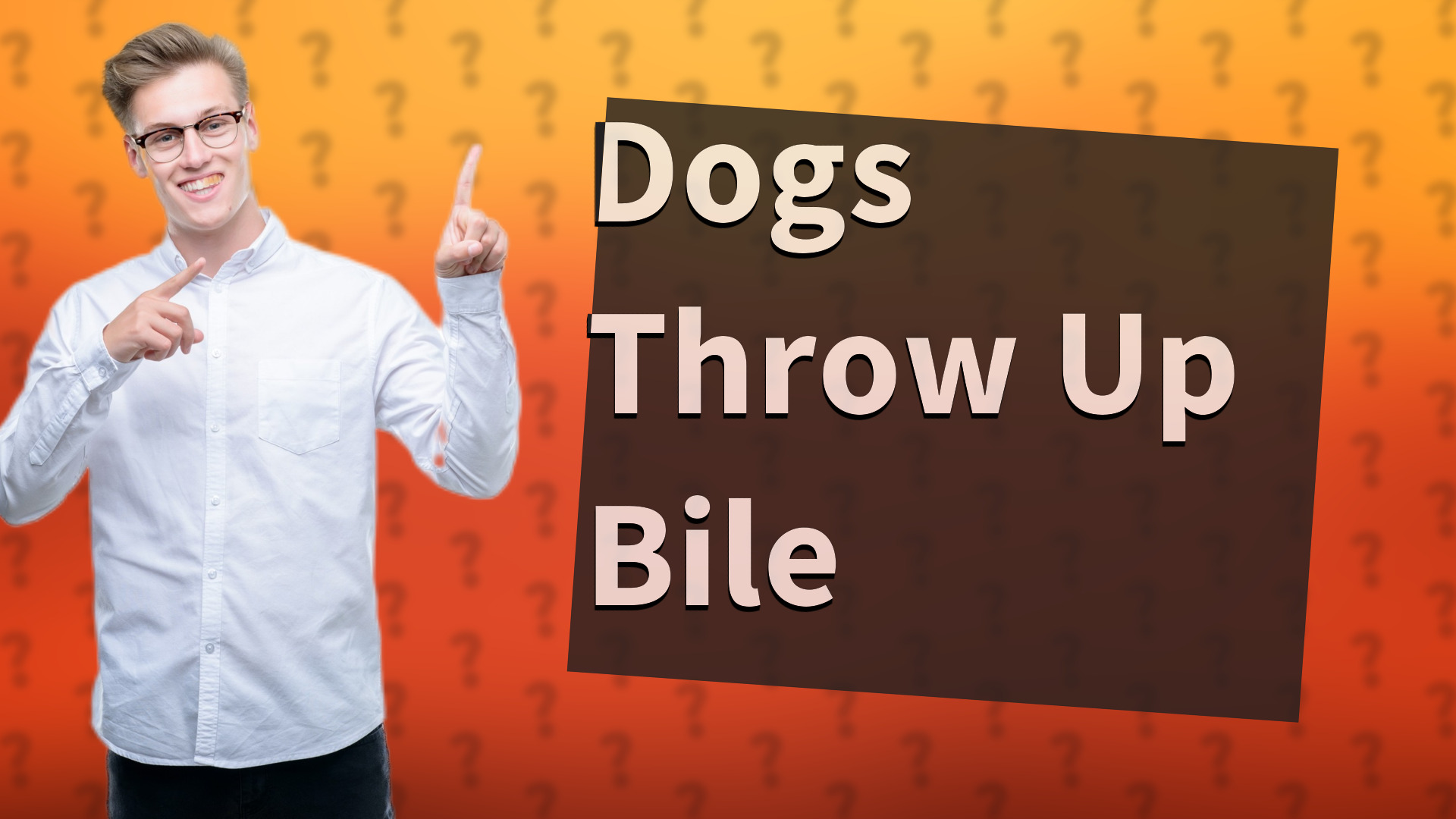 Dogs Throw Up Bile