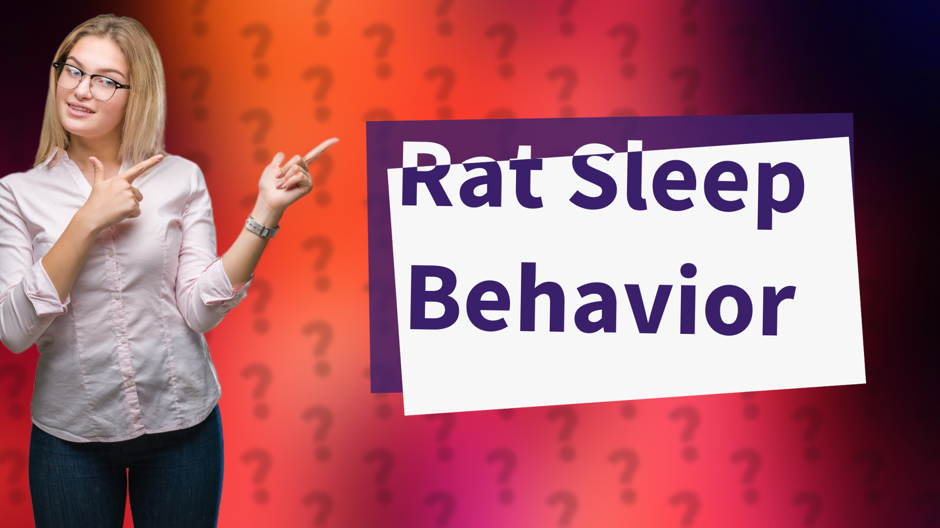 Rat Sleep Behavior