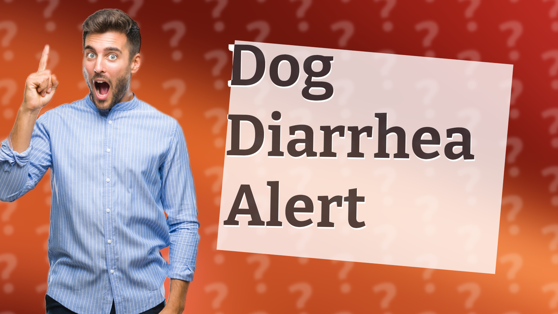 Dog Diarrhea Alert