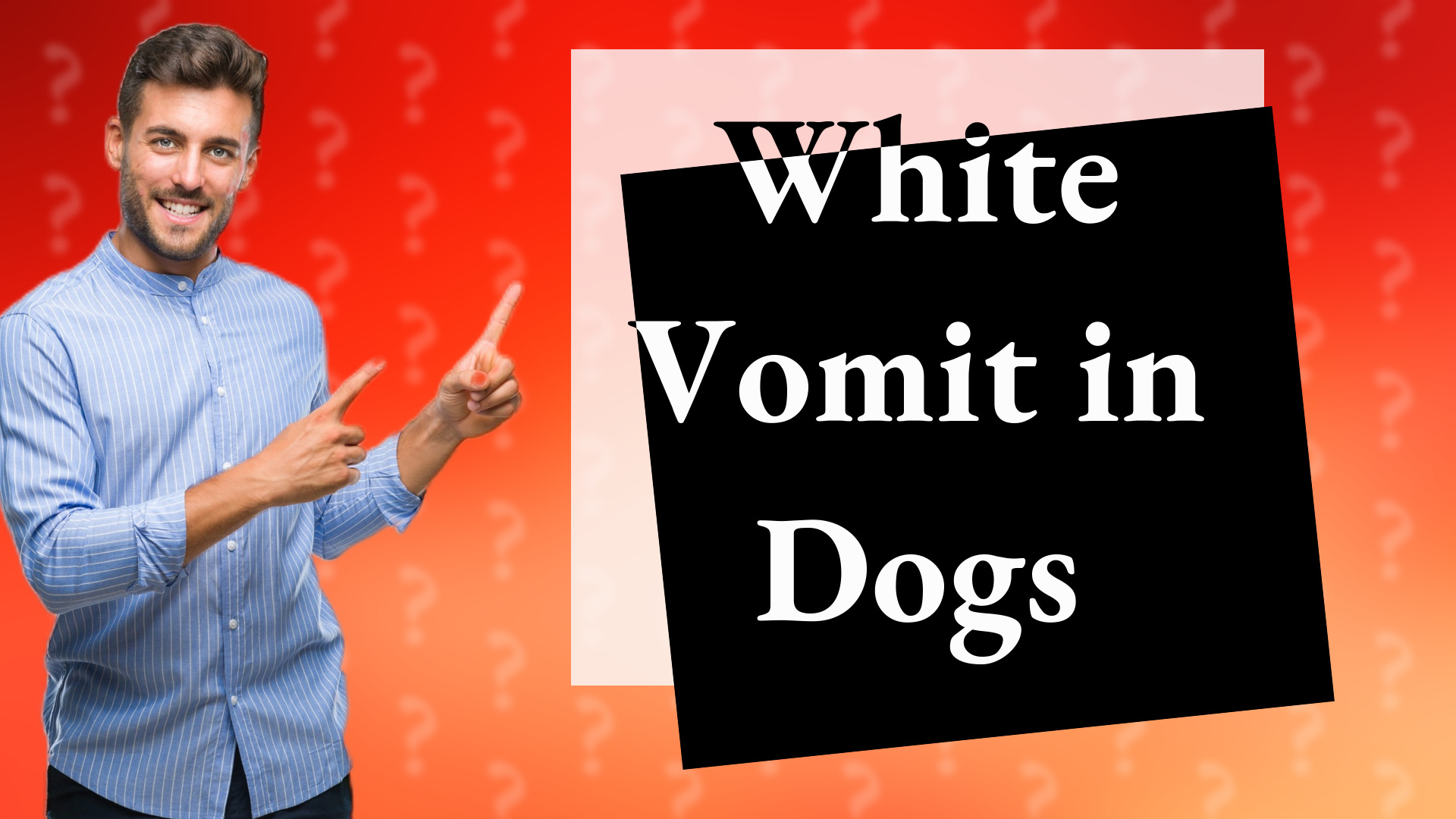 White Vomit in Dogs
