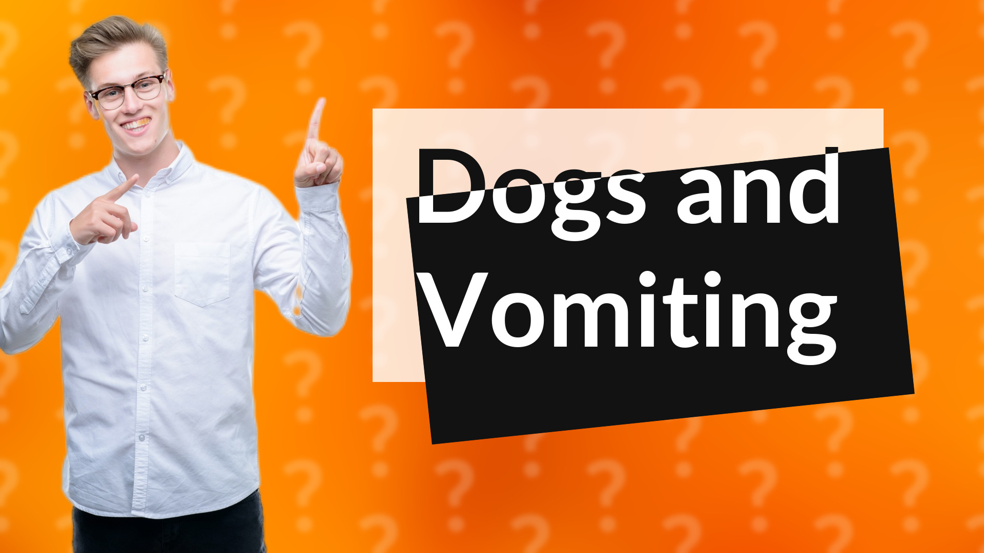 Dogs and Vomiting