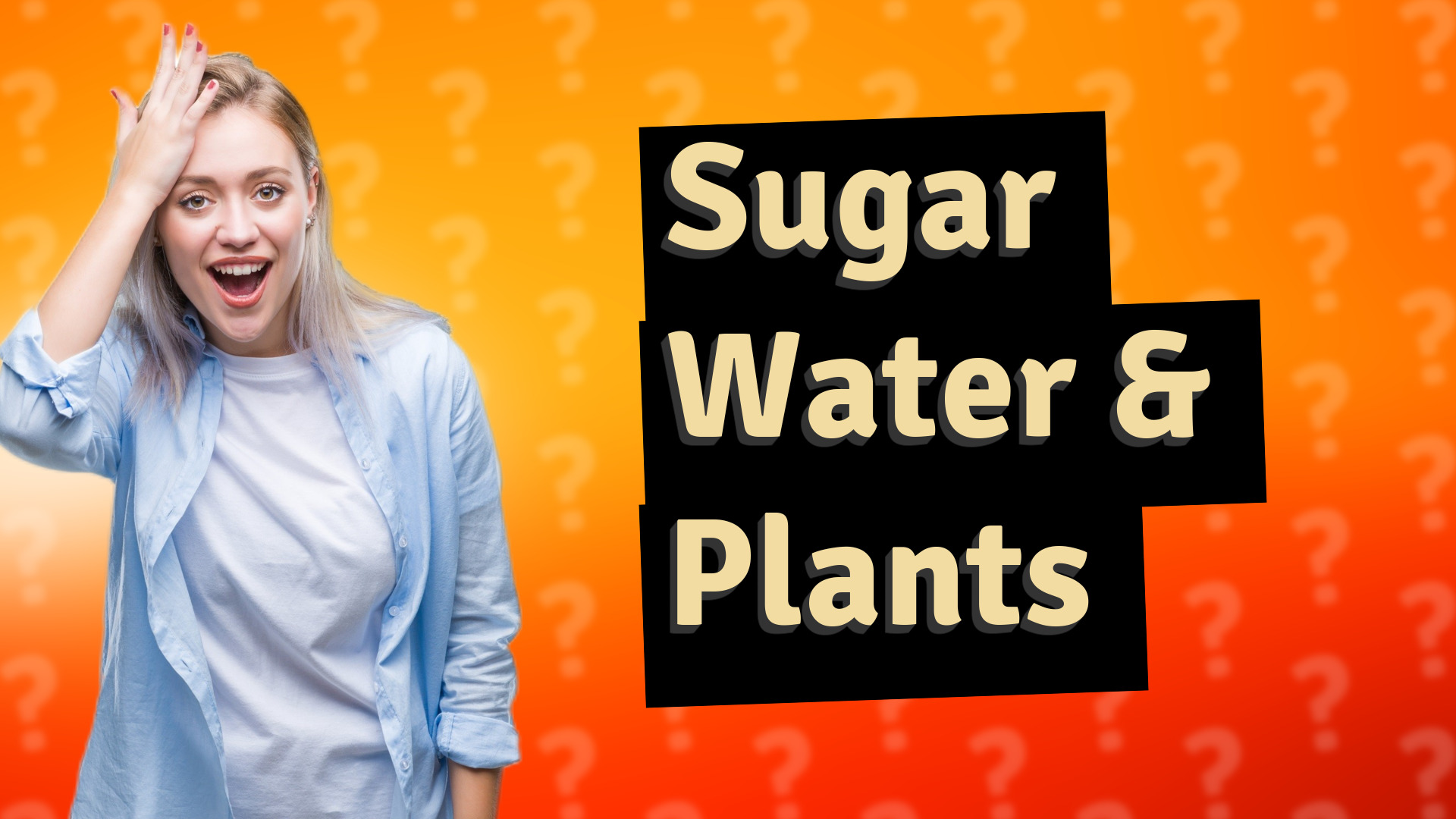 Sugar Water & Plants