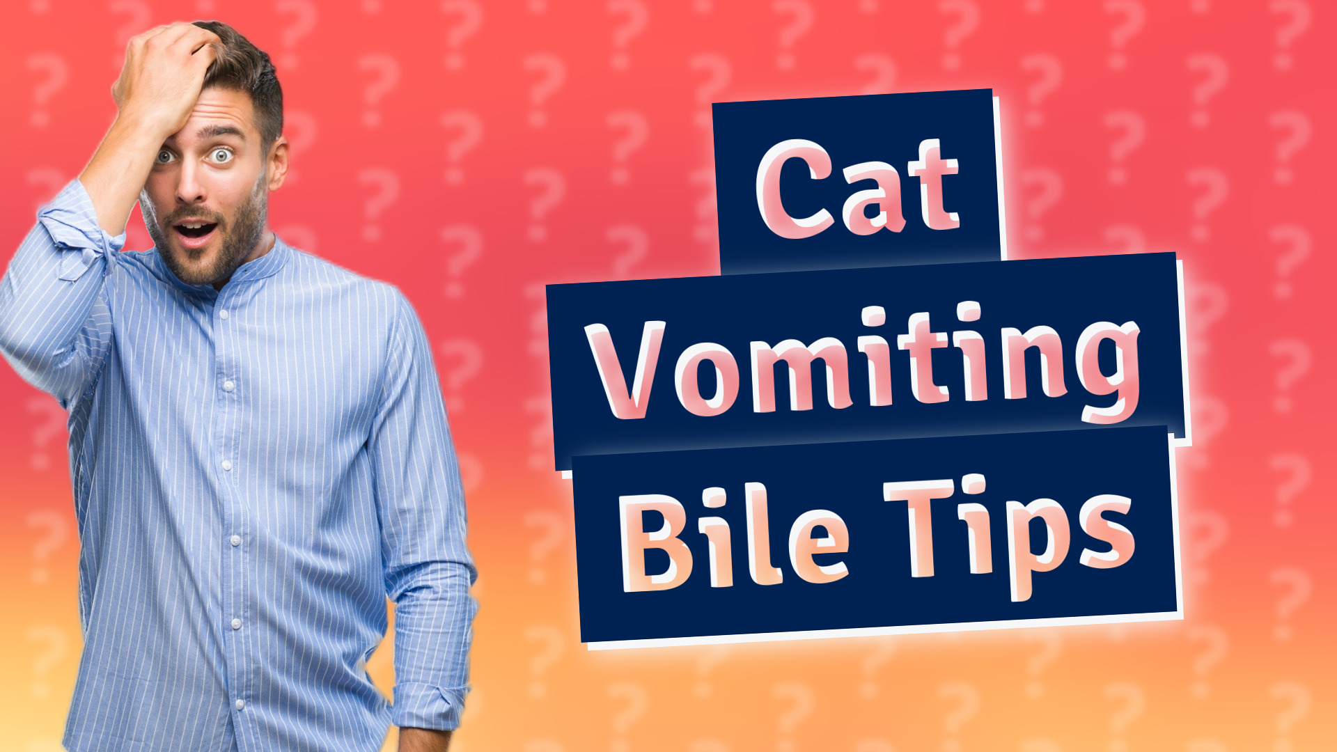 Cat Vomiting Bile Tips