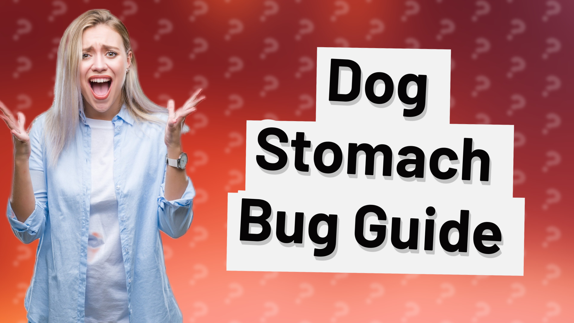 Dog Stomach Bug Guide