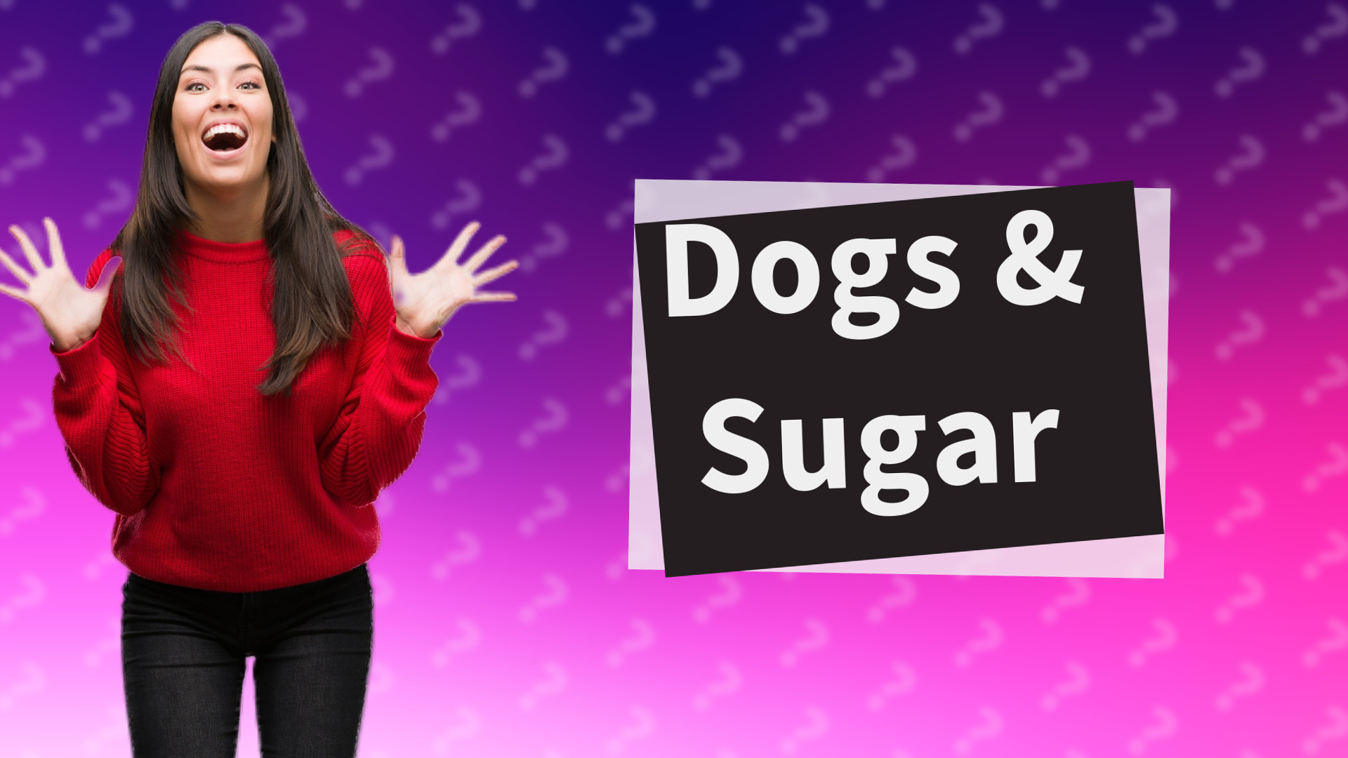 Dogs & Sugar