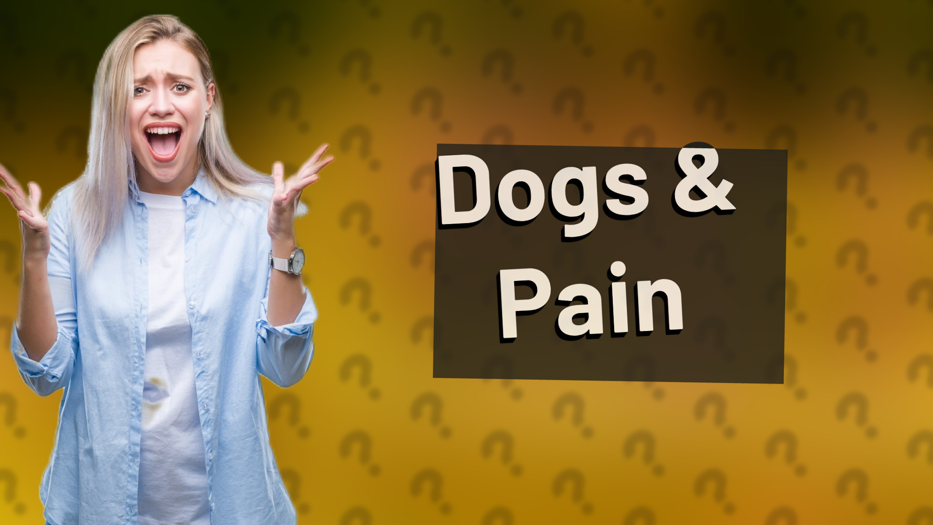 Dogs & Pain