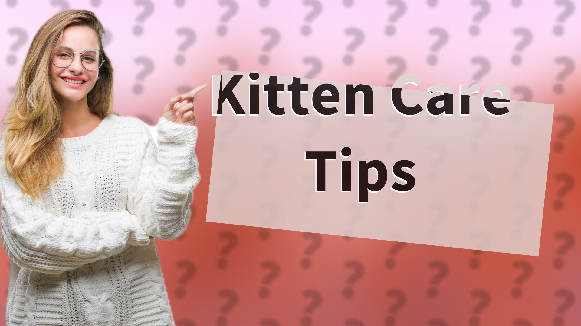 Kitten Care Tips