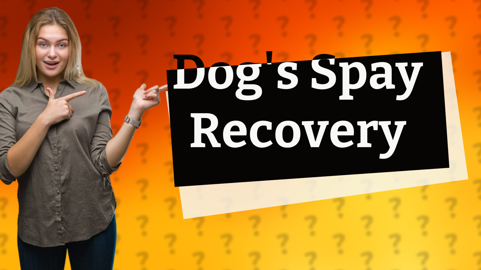 Dog's Spay Recovery