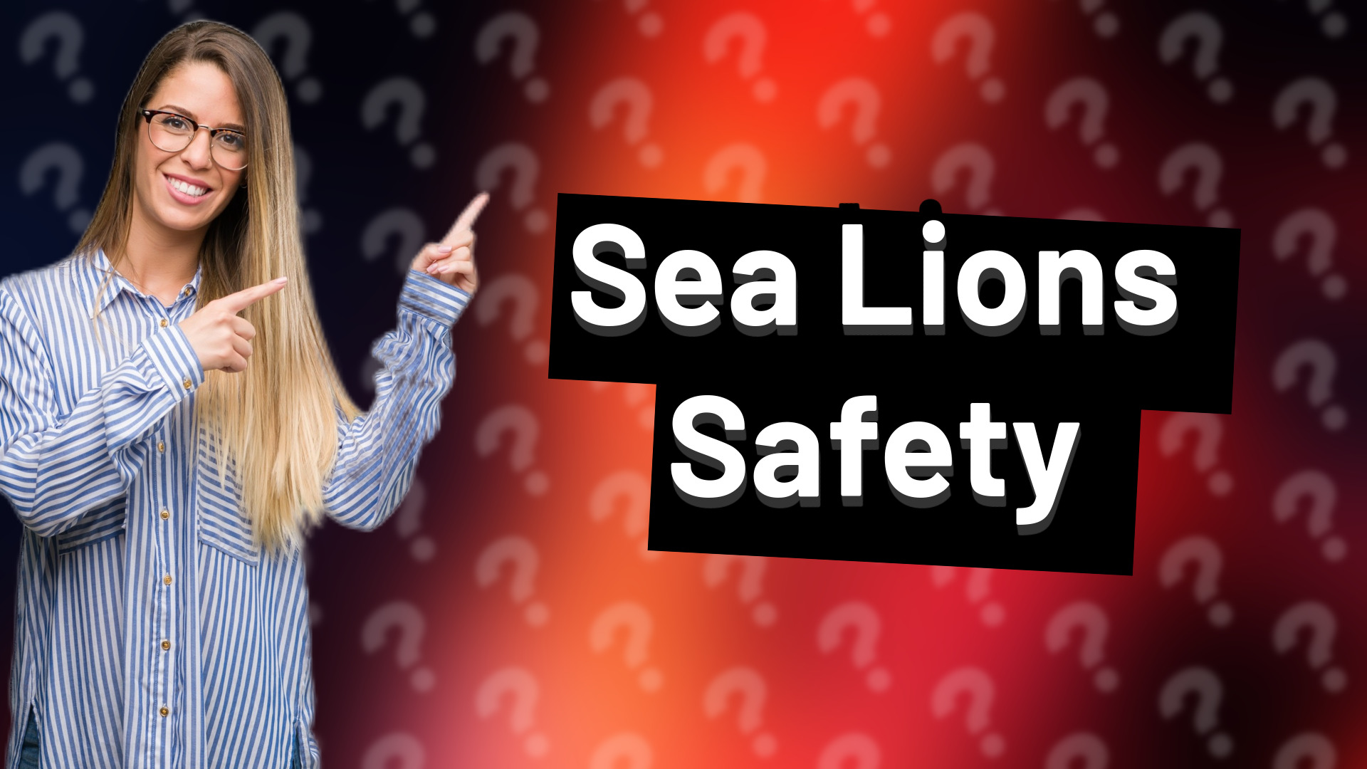 Sea Lions Safety