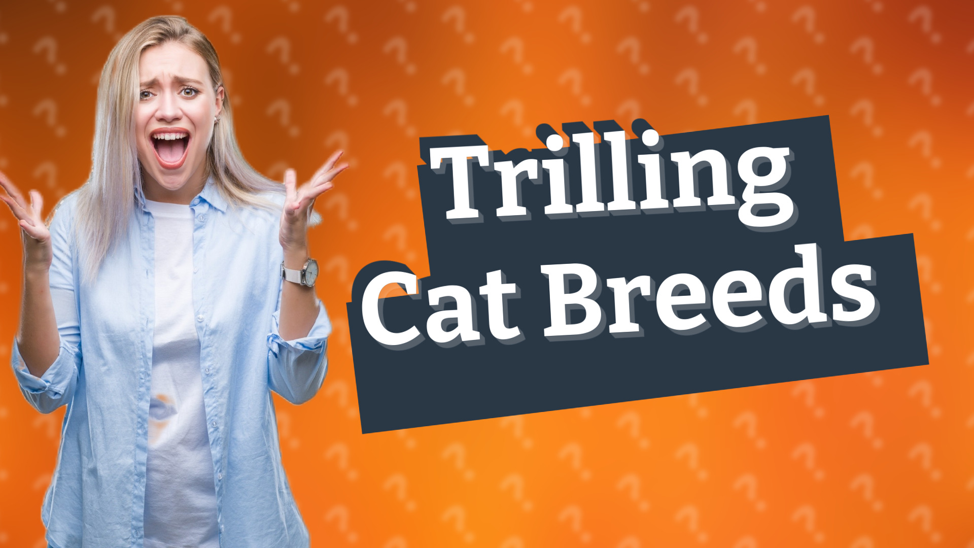 Trilling Cat Breeds