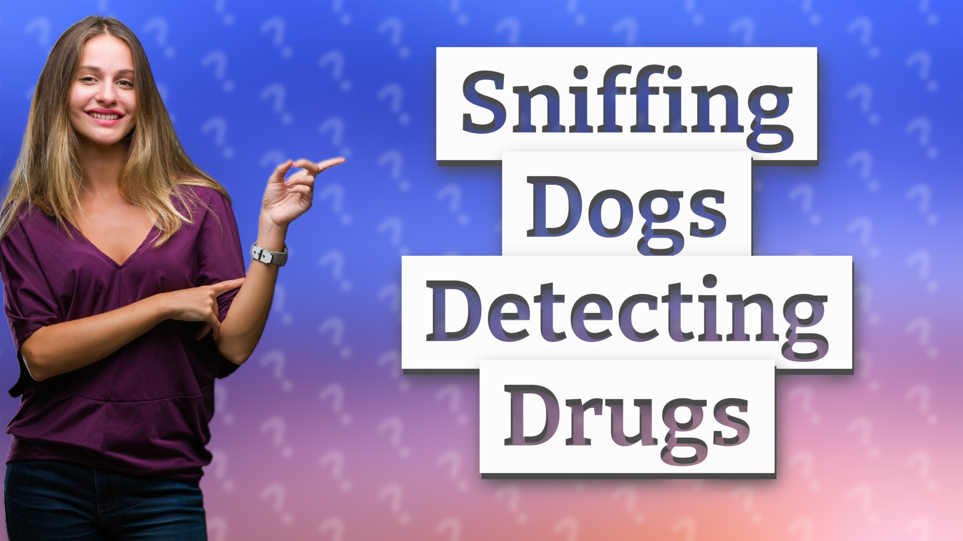 Sniffing Dogs Detecting Drugs