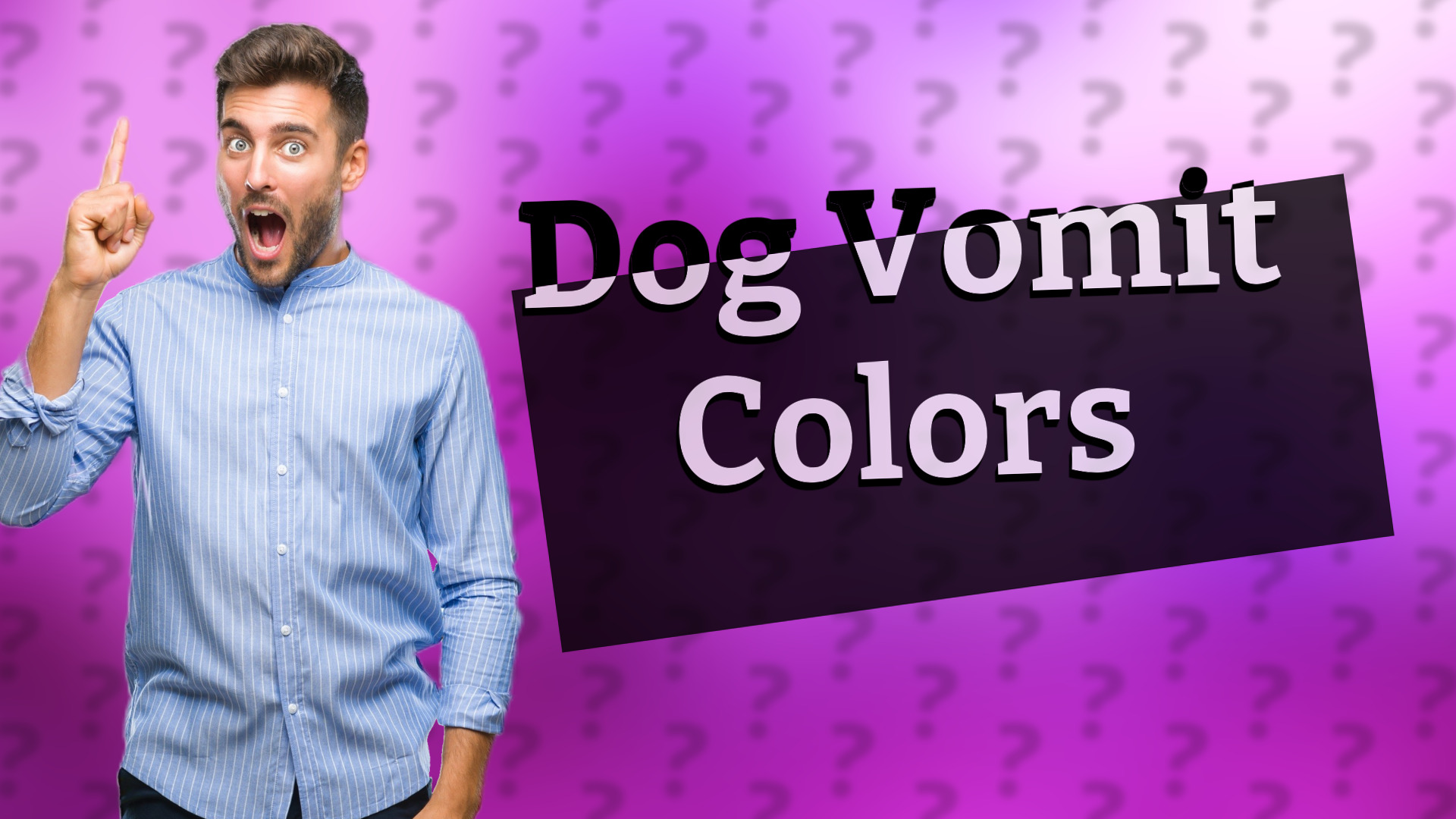 Dog Vomit Colors