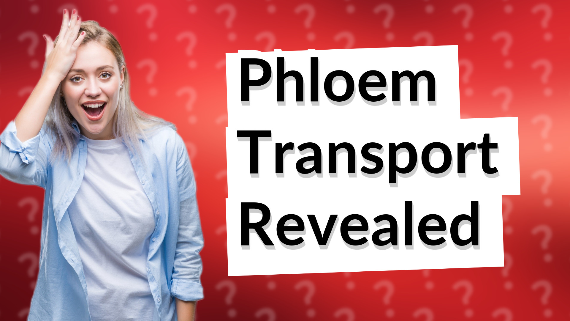 Phloem Transport Revealed