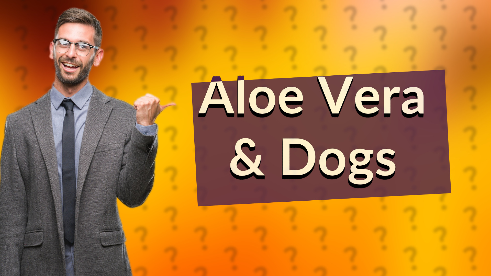 Aloe Vera & Dogs