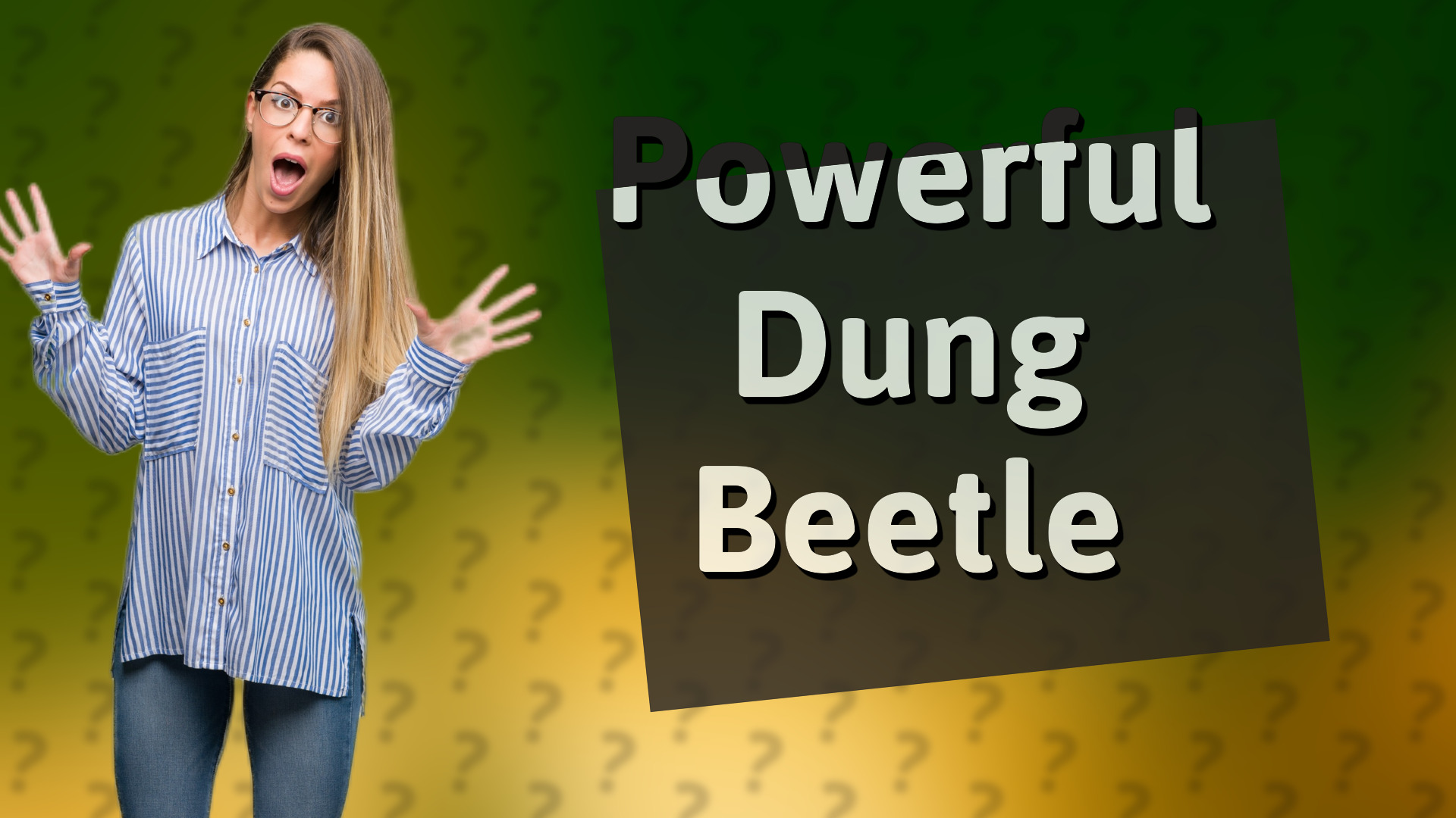 Powerful Dung Beetle