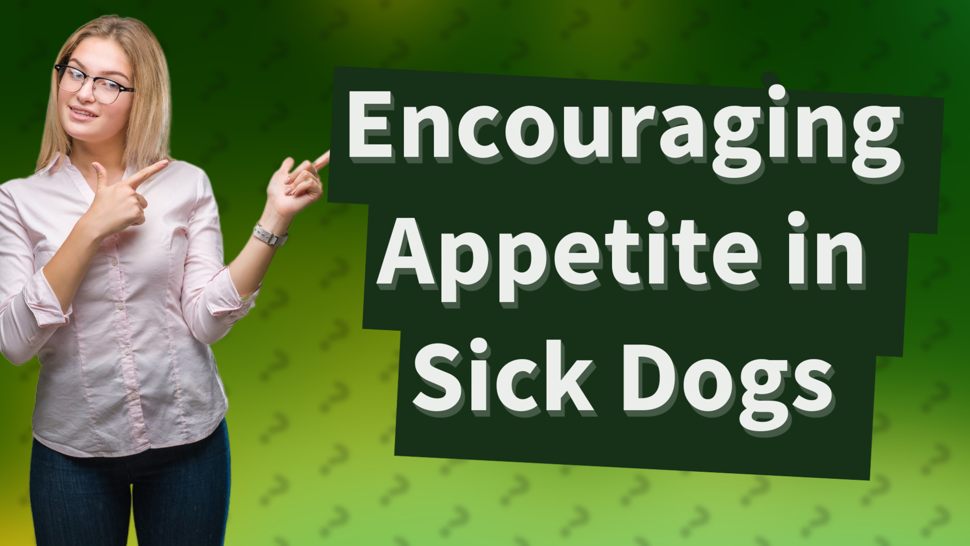 Encouraging Appetite in Sick Dogs