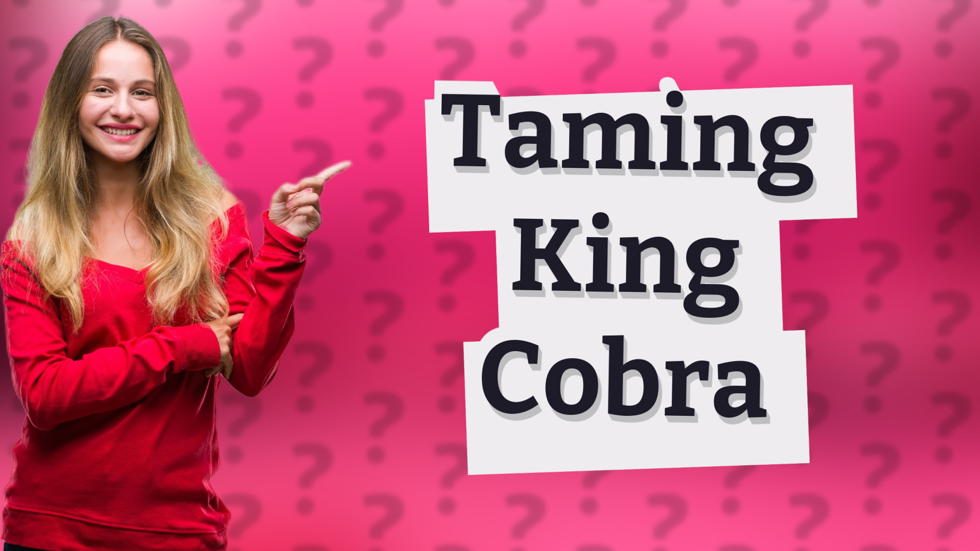 Taming King Cobra