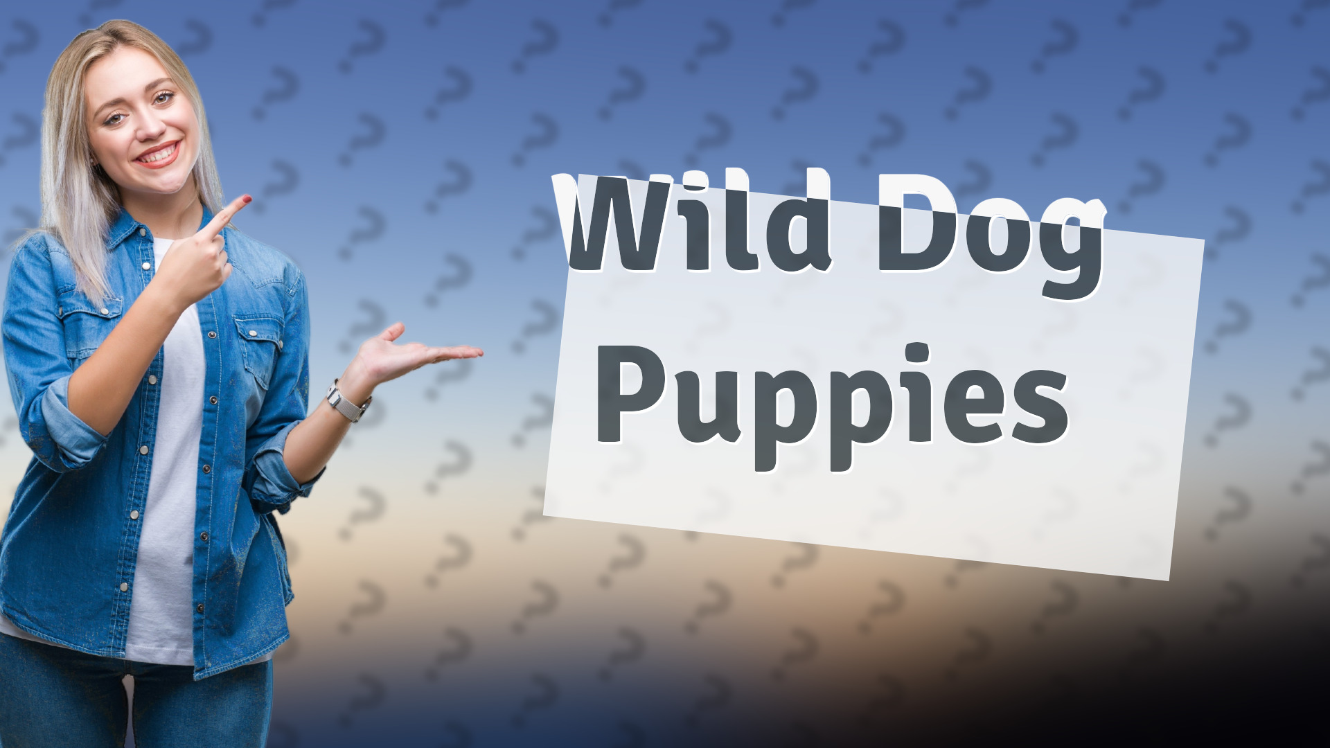 Wild Dog Puppies