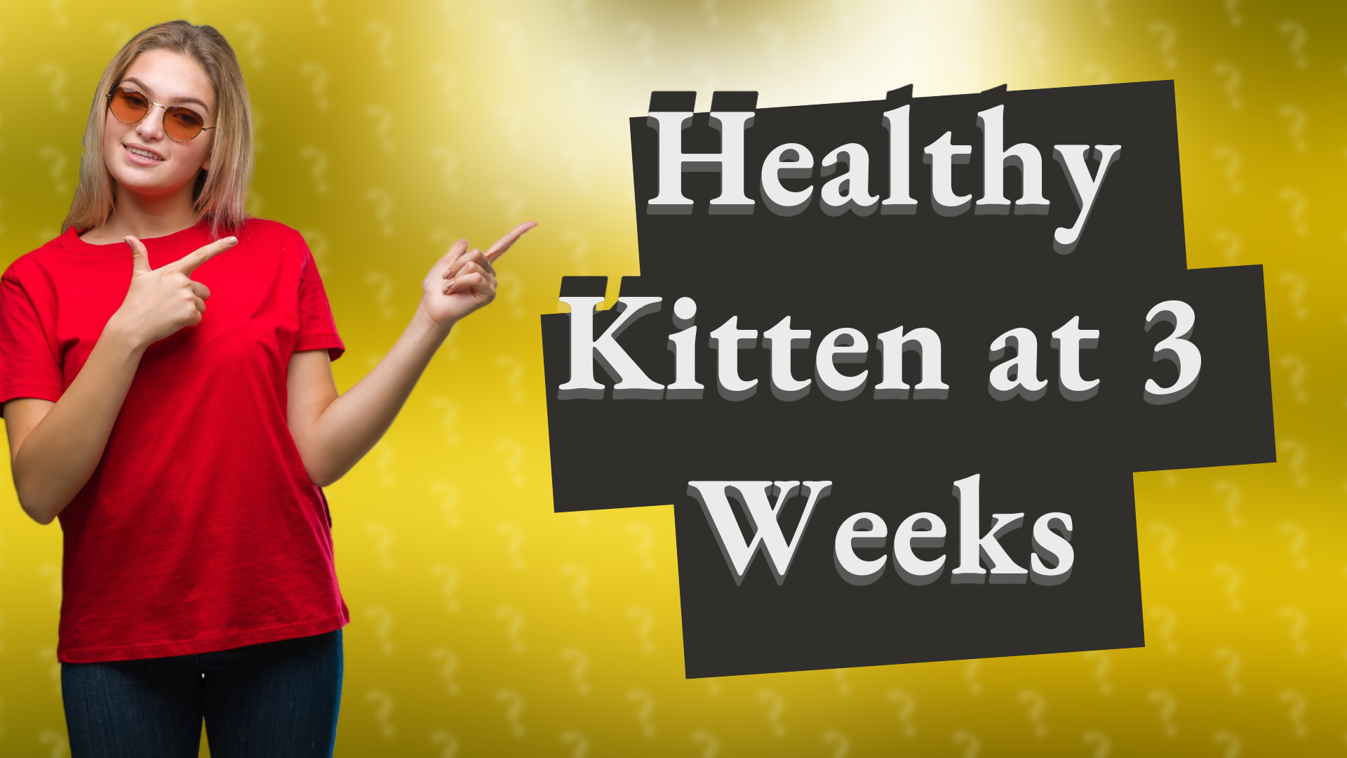 Healthy Kitten at 3 Weeks