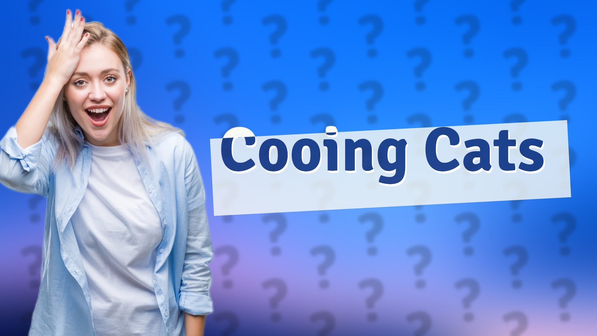Cooing Cats