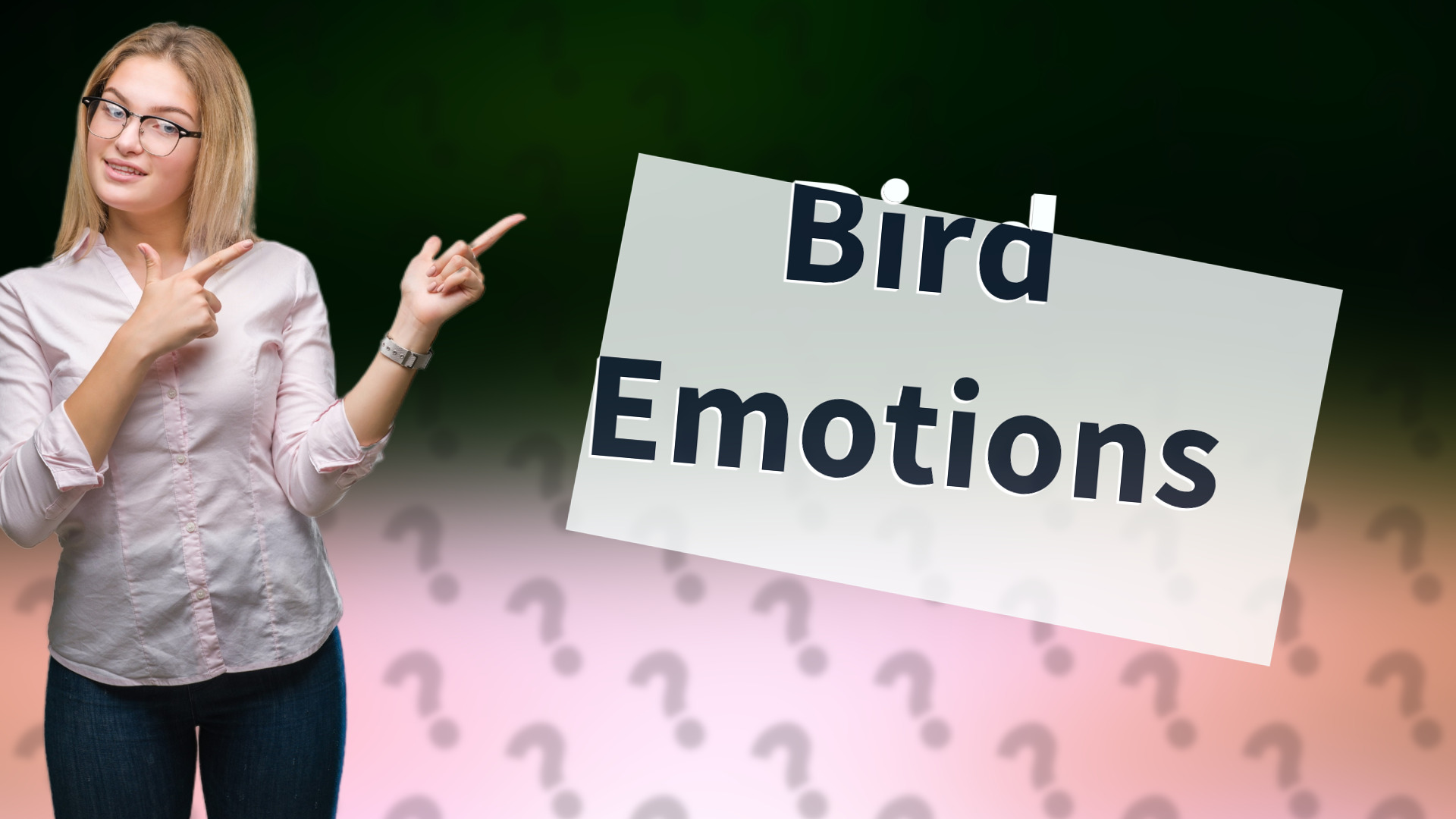 Bird Emotions
