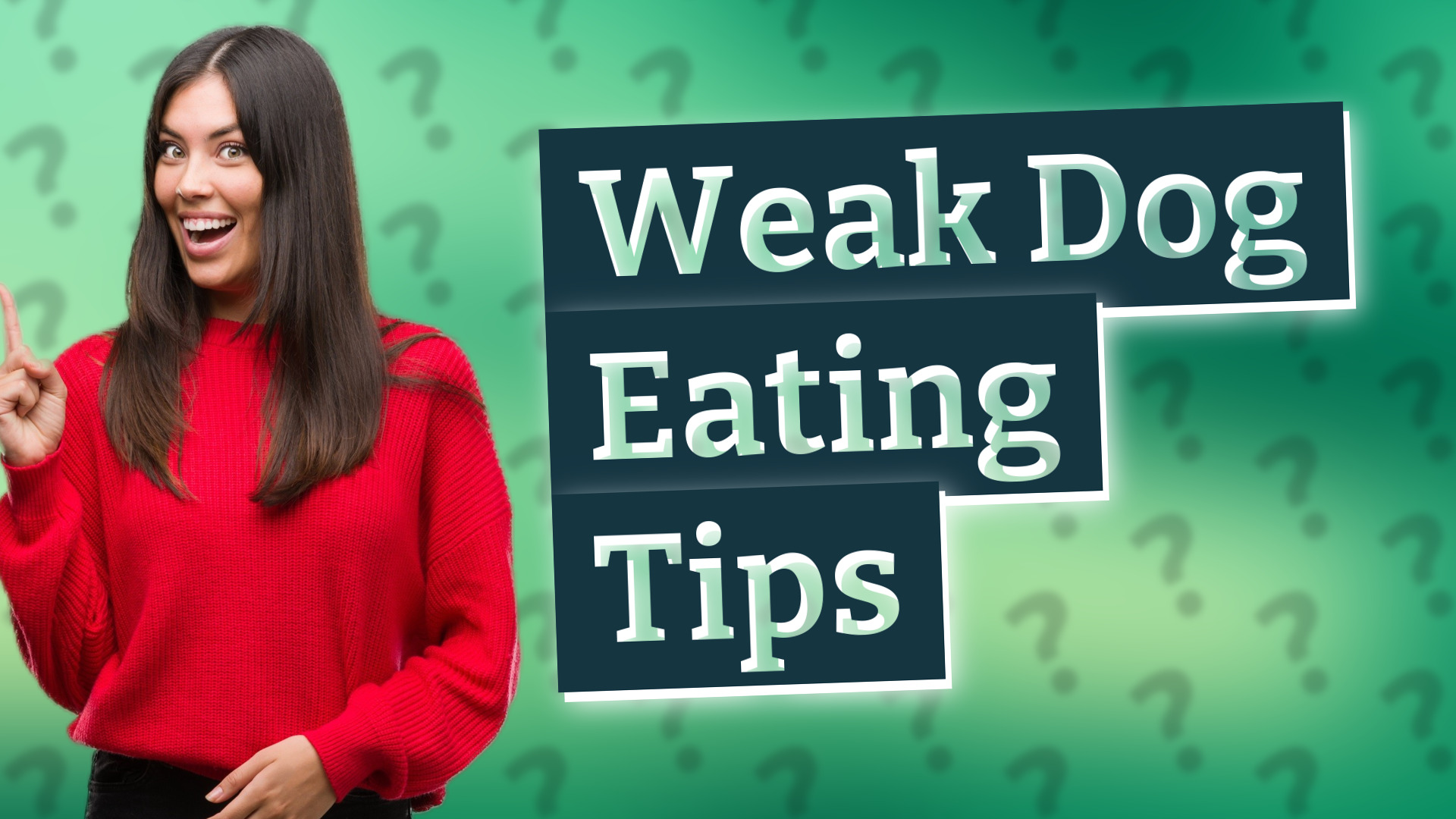 Weak Dog Eating Tips