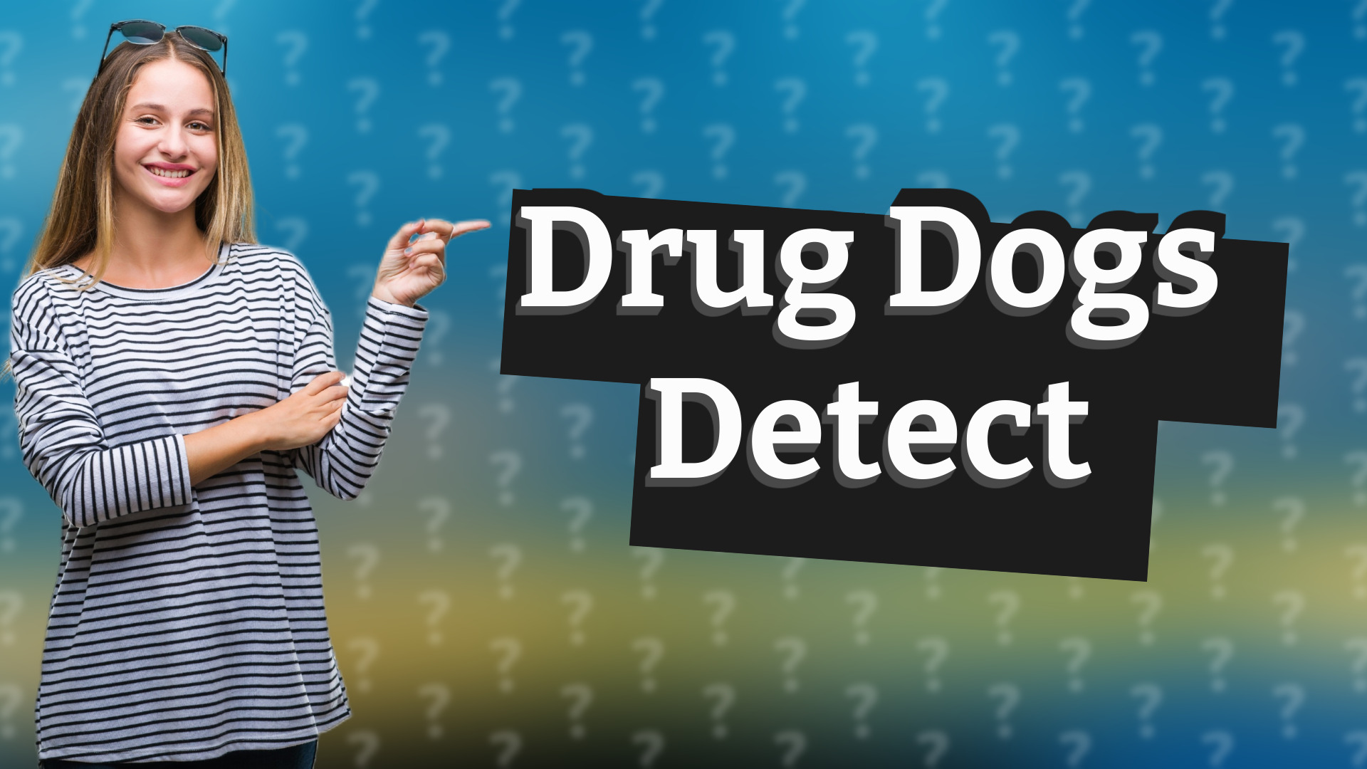 Drug Dogs Detect