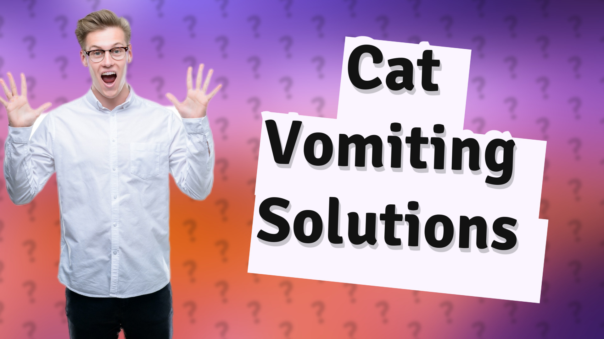 Cat Vomiting Solutions