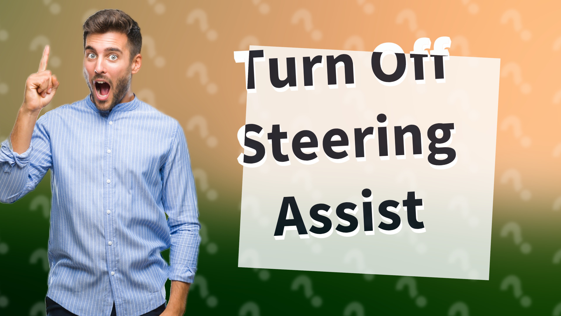 Turn Off Steering Assist