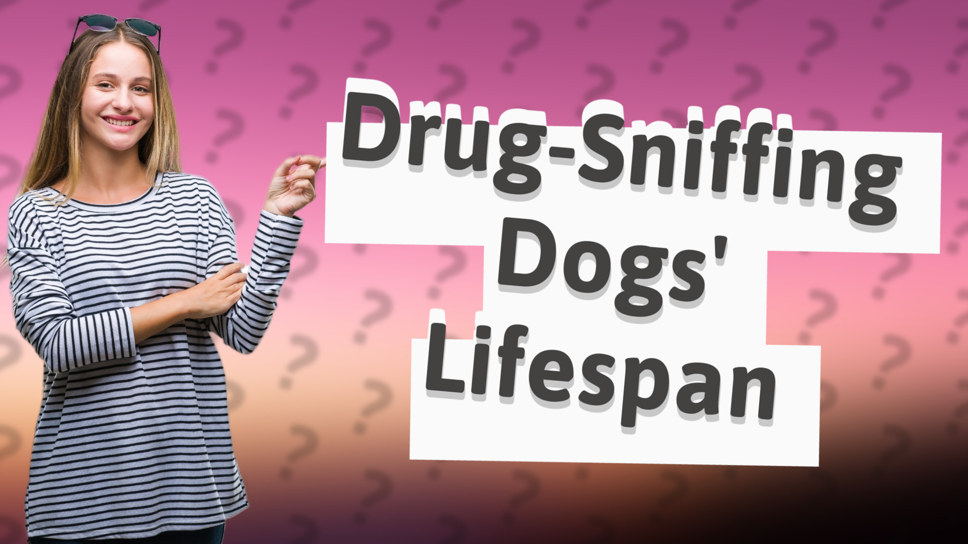 Drug-Sniffing Dogs' Lifespan