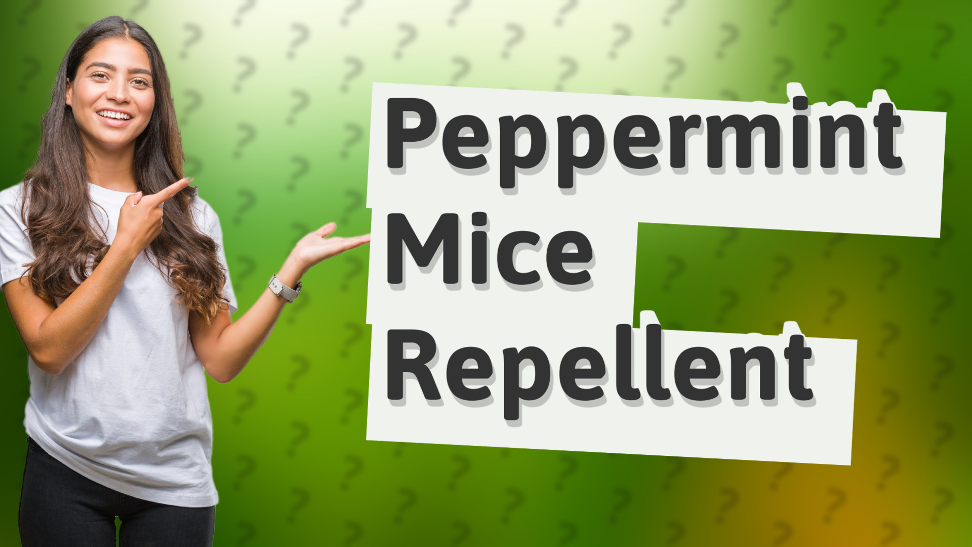 Peppermint Mice Repellent