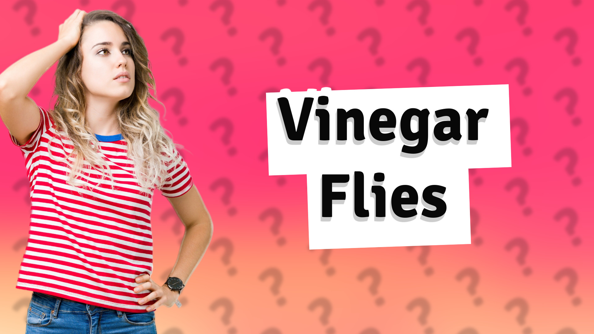 Vinegar Flies