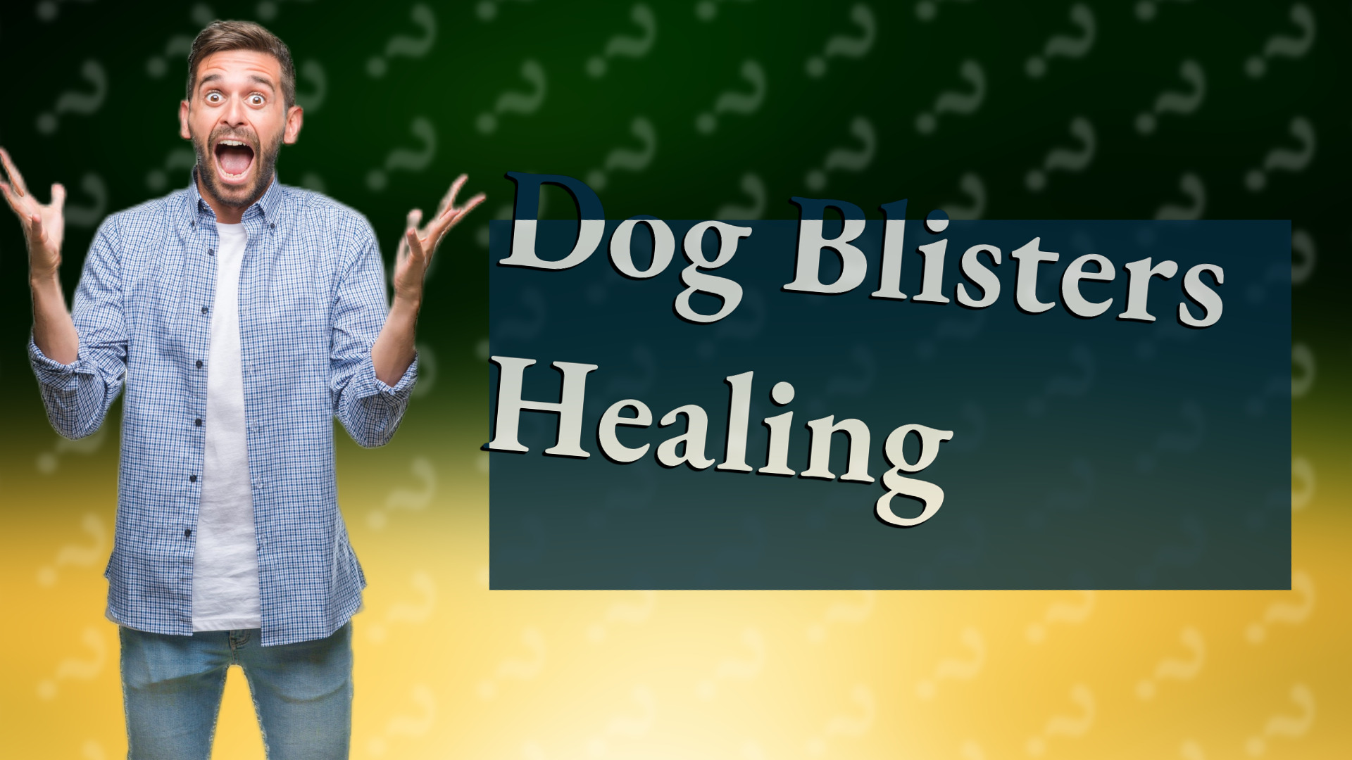 Dog Blisters Healing