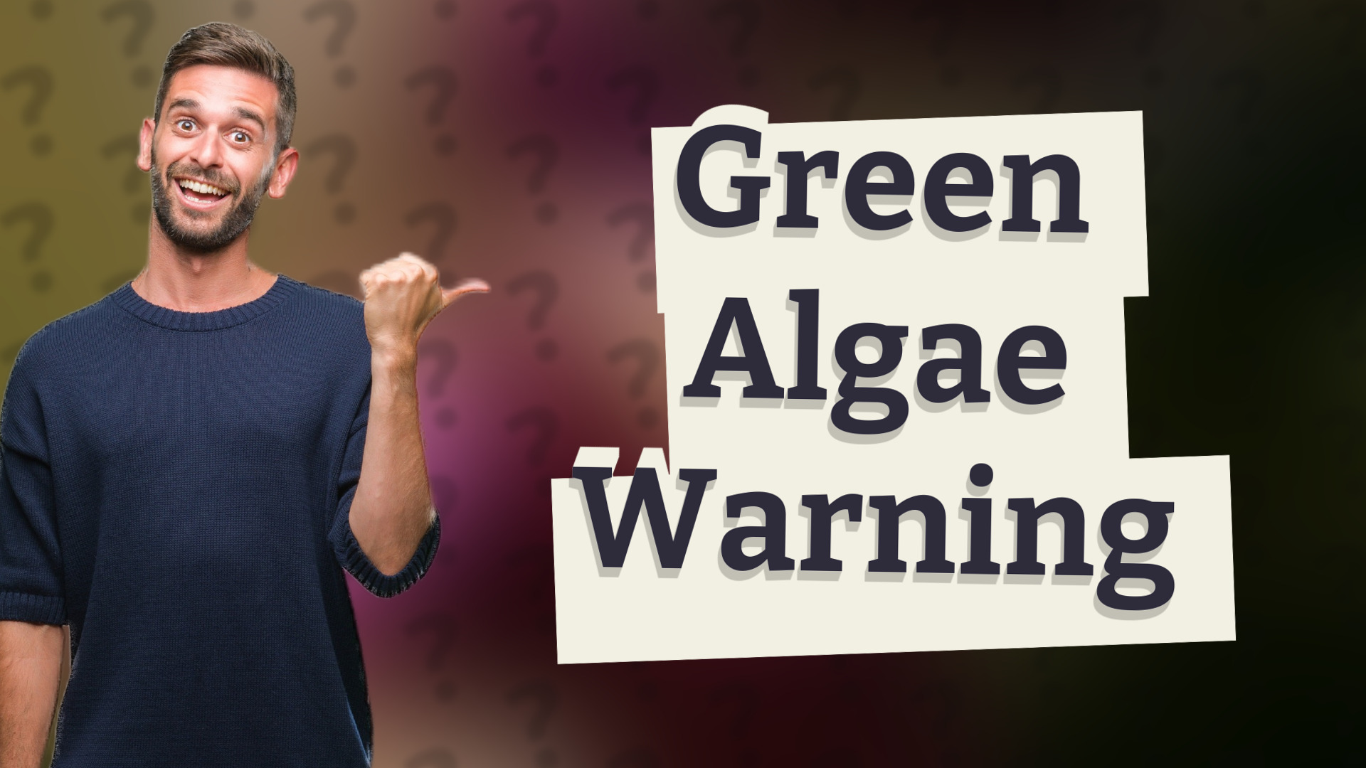Green Algae Warning