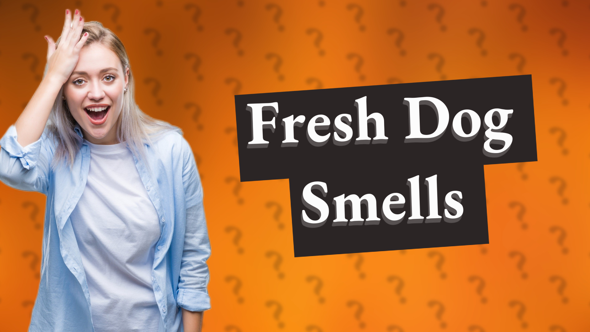 Fresh Dog Smells