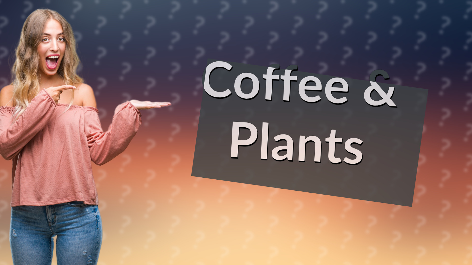 Coffee & Plants