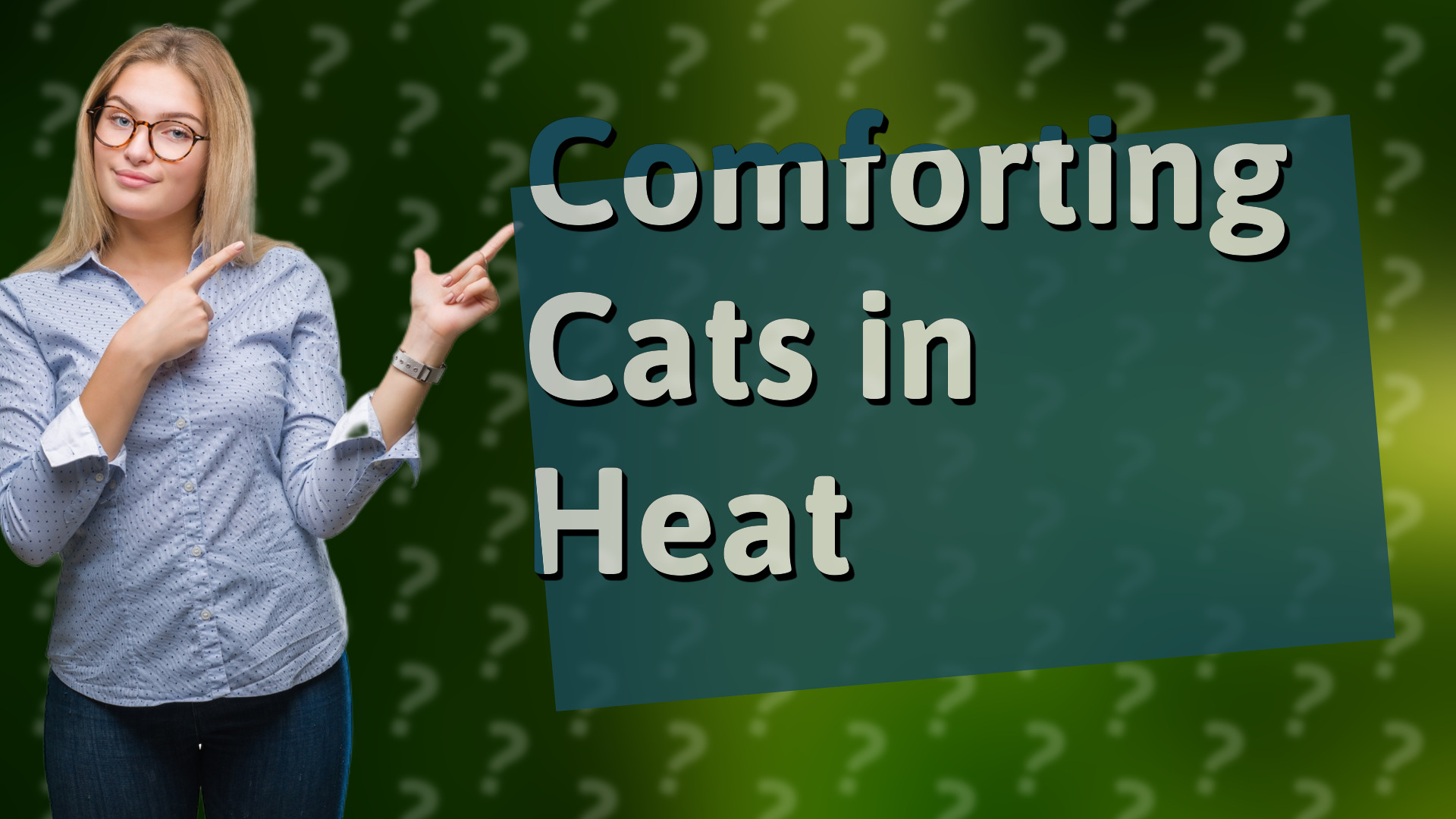 Comforting Cats in Heat