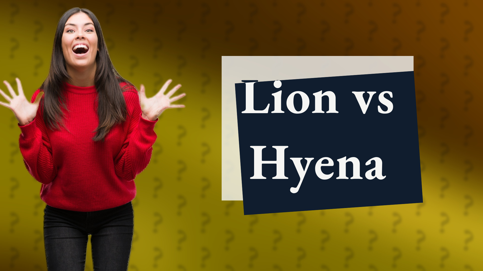 Lion vs Hyena