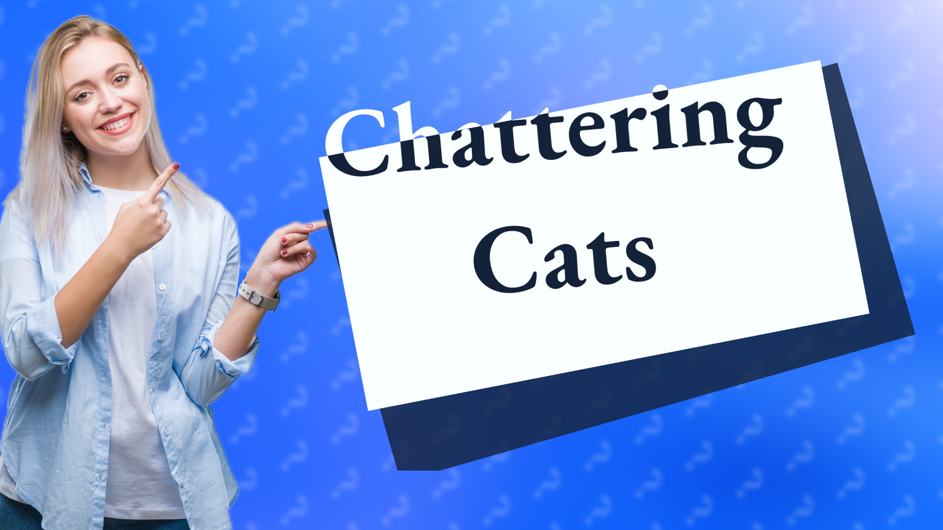 Chattering Cats