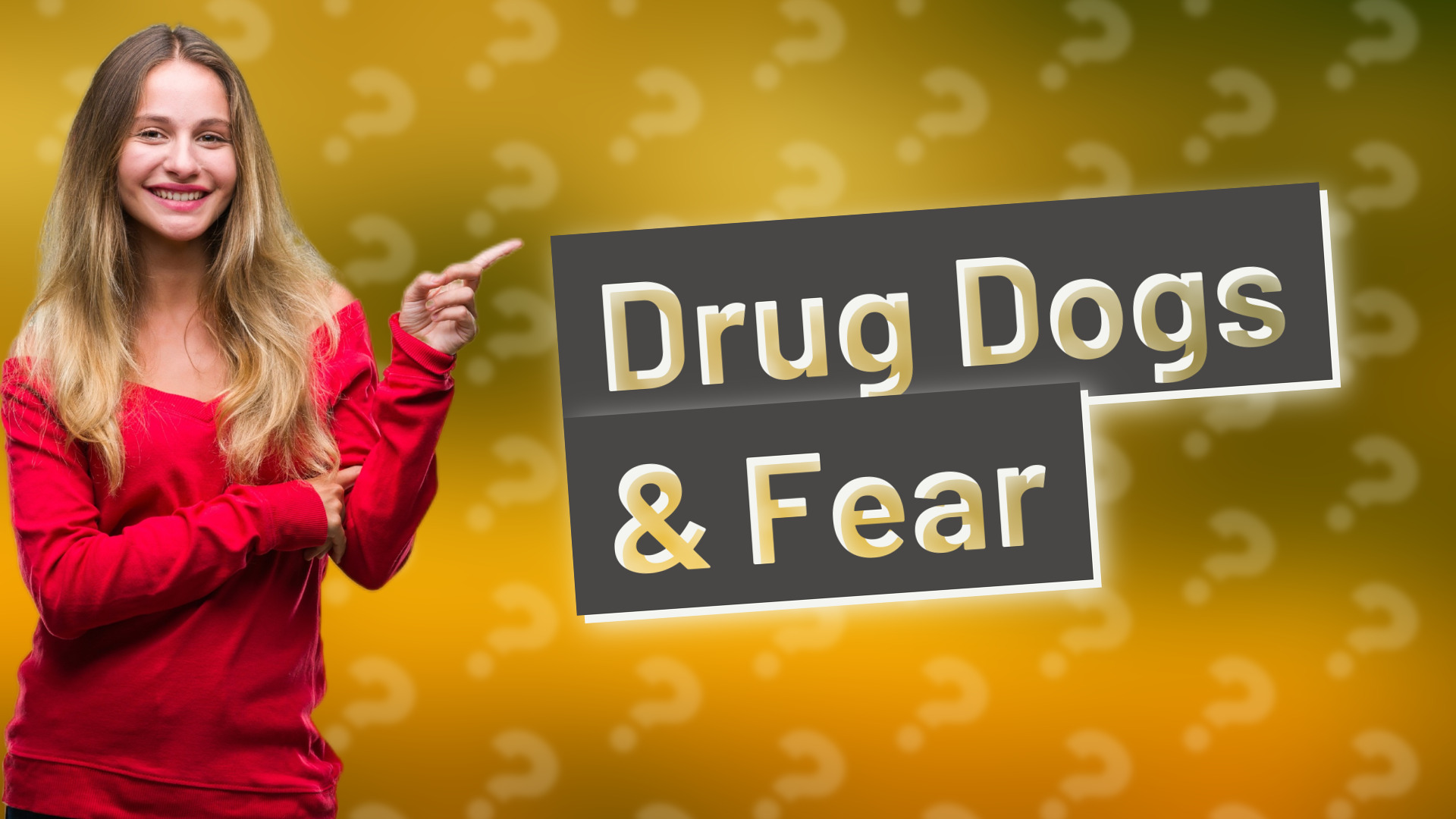 Drug Dogs & Fear
