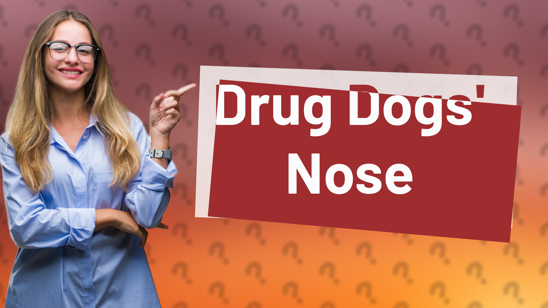 Drug Dogs' Nose