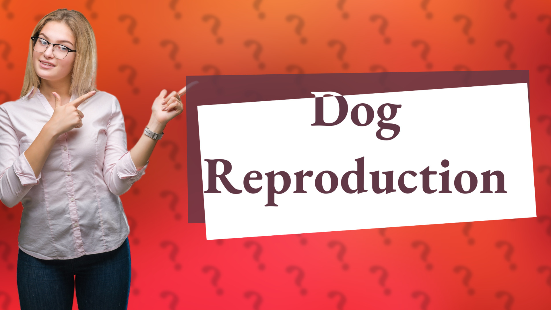 Dog Reproduction