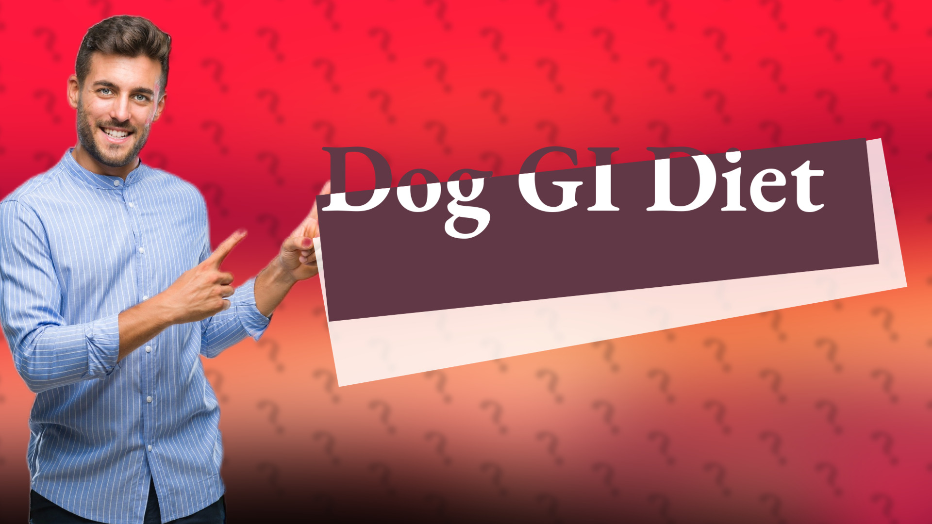 Dog GI Diet