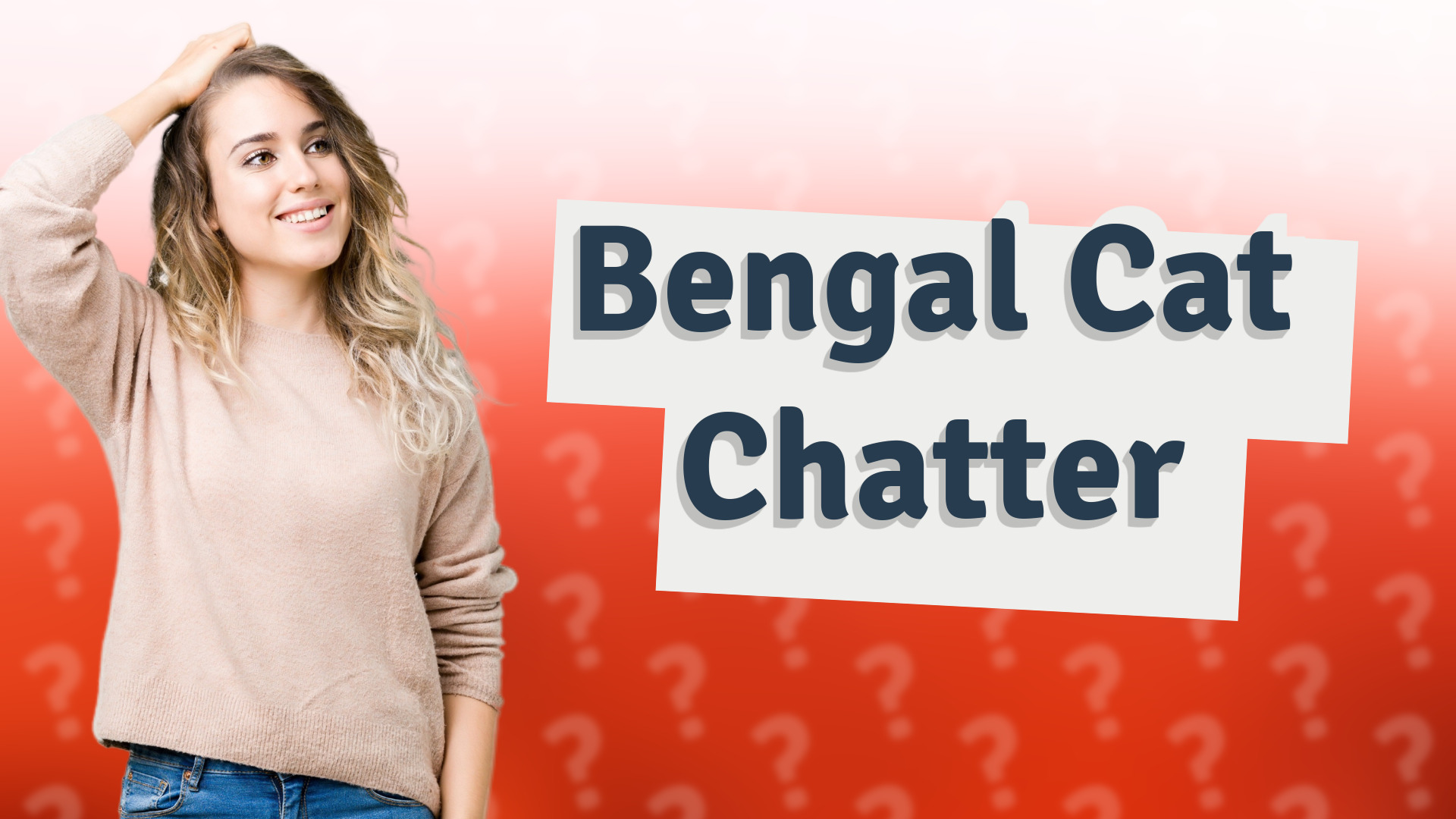 Bengal Cat Chatter