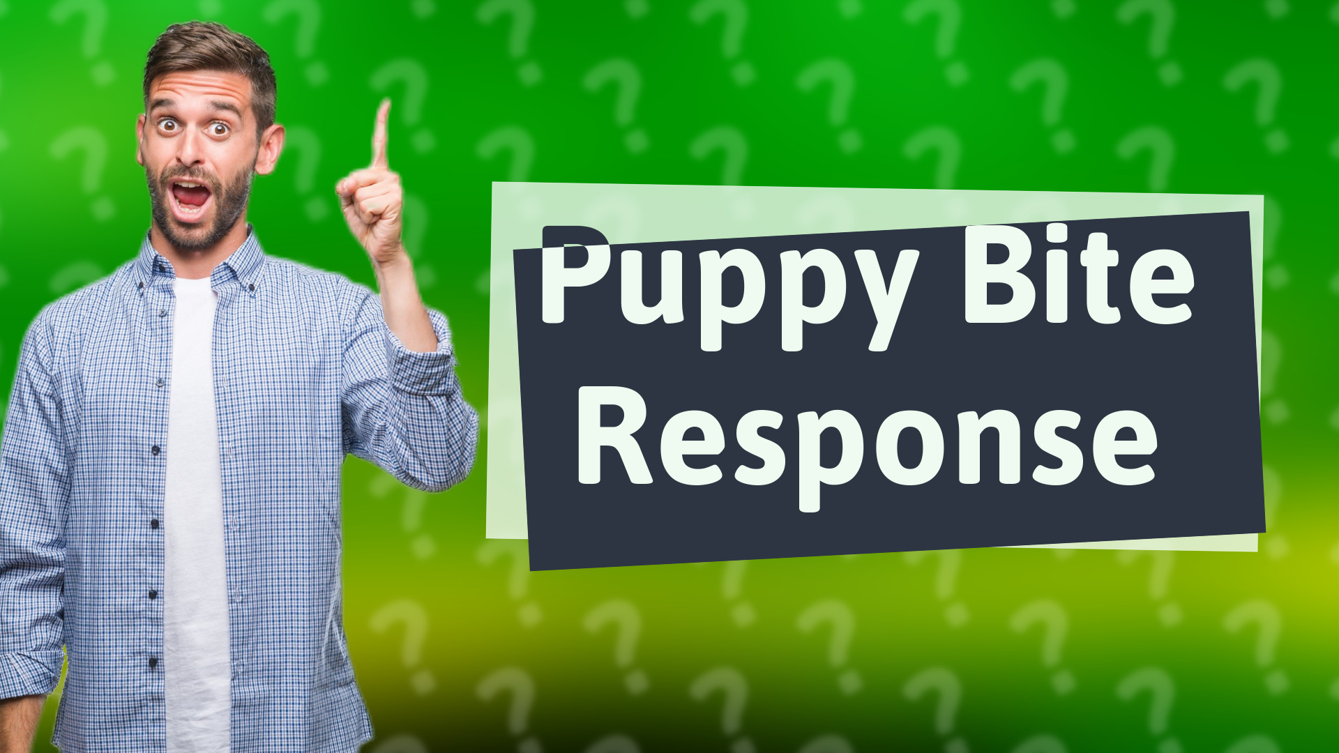 Puppy Bite Response
