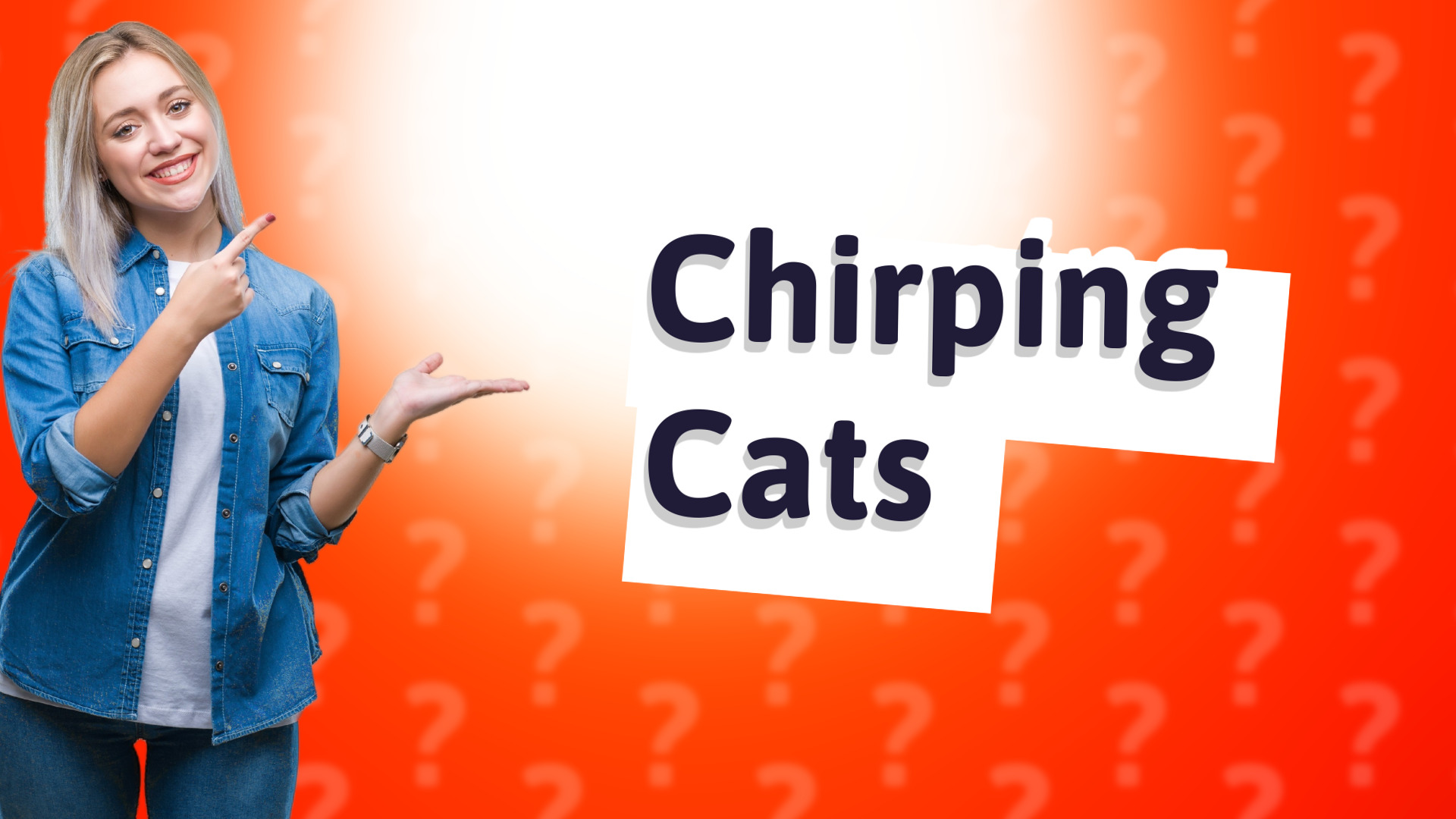 Chirping Cats