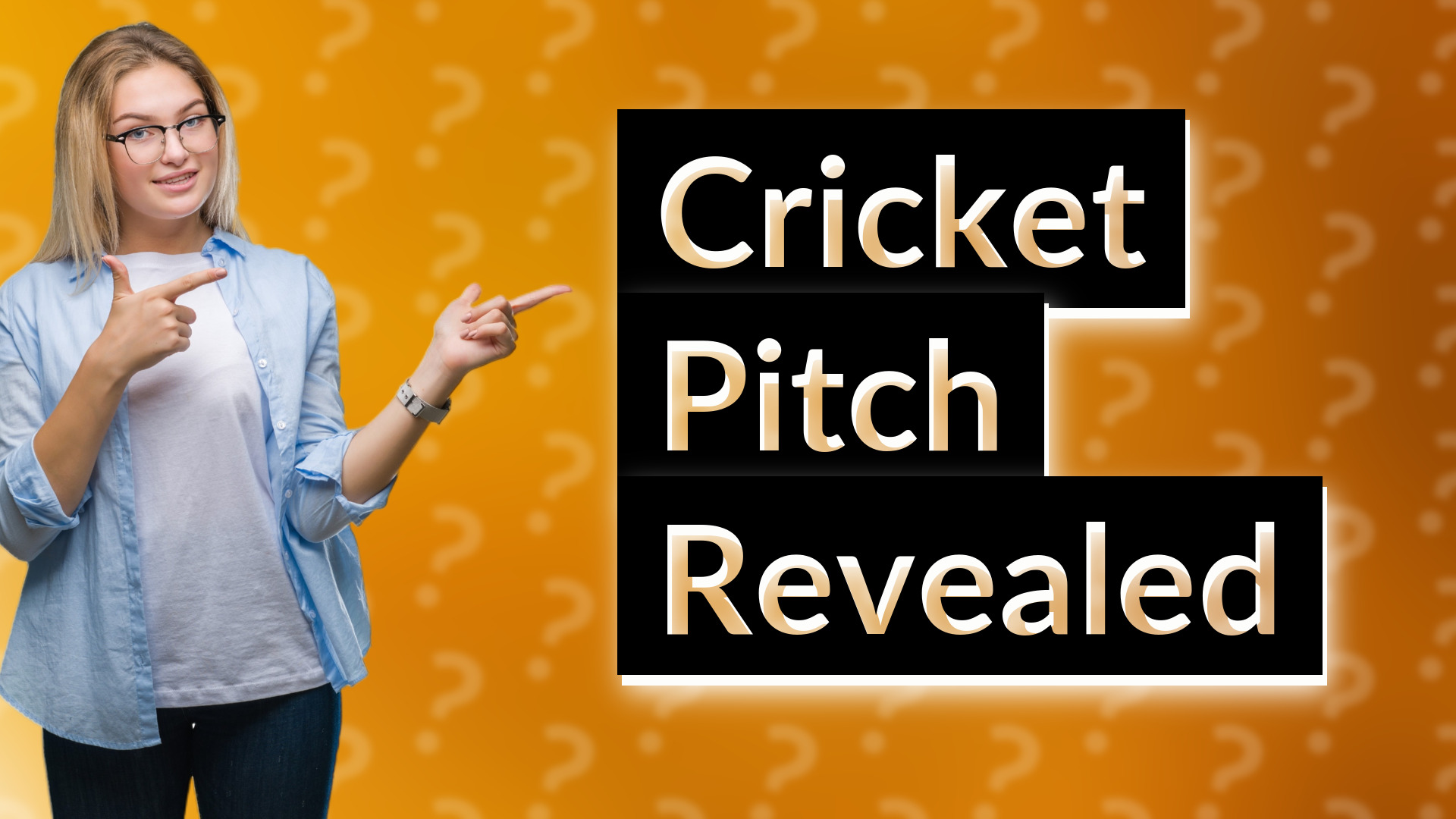 Cricket Pitch Revealed